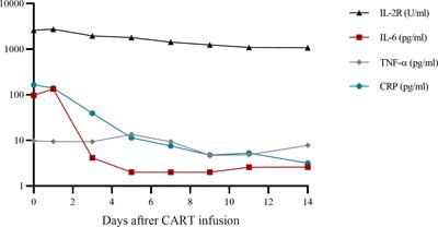 CD19 chimeric antigen receptor T-cell therapy following autologous stem cell transplantation against relapsed or refractory Burkitt lymphoma/leukemia: A case report and literature review